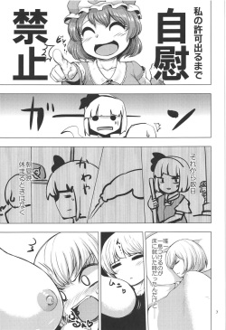 (C91) [Chicken Nugget Gyuuniku Aji (Sadahiro)] Zenra Misshitsu 24-ji (Touhou Project) page 6