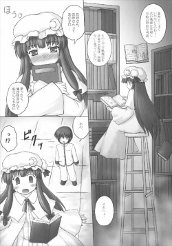 (Reitaisai 8) [Newtype Kenkyuujo (Kotowari)] Onee-chan no East (Touhou Project) page 6