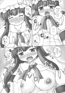 (Reitaisai 8) [Newtype Kenkyuujo (Kotowari)] Onee-chan no East (Touhou Project) page 8