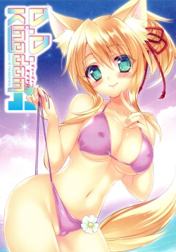 (C84) [hlz (Sanom)] D.D.Kingdom4 (DOG DAYS) page 1