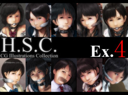 H.S.C. Illust Collection Ex.4