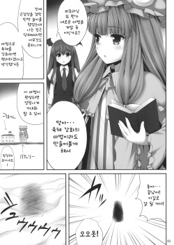 (C89) [Fukutsuu Okosu (Kaiou)] Kyonyuu Chara to Kashita Patchouli no Ero Hon | 거유 캐릭화 되버린 파츄리의 야한 책 (Touhou Project) [Korean] page 2