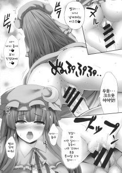 (C89) [Fukutsuu Okosu (Kaiou)] Kyonyuu Chara to Kashita Patchouli no Ero Hon | 거유 캐릭화 되버린 파츄리의 야한 책 (Touhou Project) [Korean] page 5