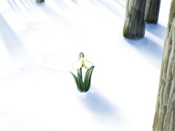 [Sweet Basil] Snow Drop [Decensored] page 2