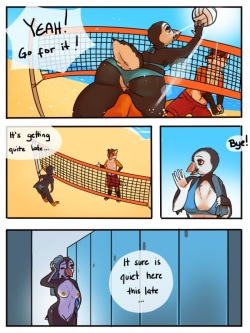 Volleyball