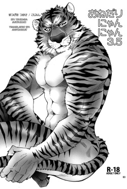 (SUPER22) [Masamune Kokichi (Matsuzaki Tsukasa)] Onedari Nyan Nyan 3.5 + Sundowners 2.5 (Astro Fighter Sunred) [English] [mayonakat] page 2