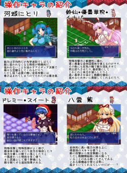[Dai N Honpo] Touhou Shoujo Kisoutan (Touhou Project) page 10