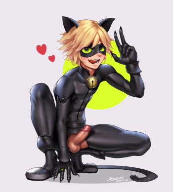 [Homri] Cat Noir + Archer x Shirou Emiya cover