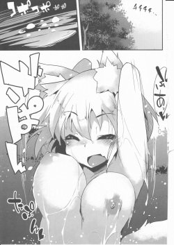 (C88) [Asshuku Koubou (Terazip)] Ecchi de Wanko na Onee-chan (Touhou Project) page 3