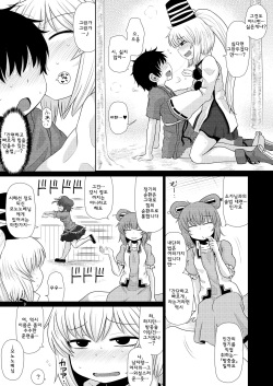 (Reitaisai 13) [Fugudoku (Katou Fuguo)] SURUDAKE JUICHI. (Touhou Project) [Korean] [WestVatican] page 8