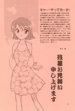 (C58) [SHEEPCLOUD (Hitsujiko)] Digital Syndrome (Digimon Adventure 02) page 2