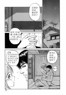 [Armadillo] Neko no Yurikago [Korean] page 8