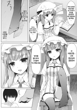 (C86) [Cocoa Cigarette (Tokugawa Randine)] Majo no Koukishin | 마녀의 호기심 (Touhou Project) [Korean] page 3