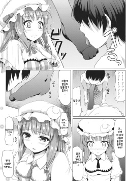 (C86) [Cocoa Cigarette (Tokugawa Randine)] Majo no Koukishin | 마녀의 호기심 (Touhou Project) [Korean] page 4