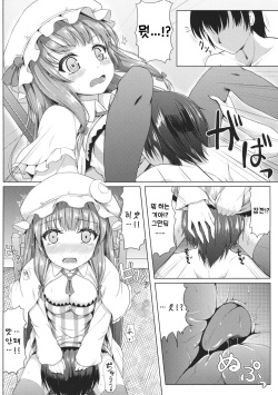 (C86) [Cocoa Cigarette (Tokugawa Randine)] Majo no Koukishin | 마녀의 호기심 (Touhou Project) [Korean] page 5