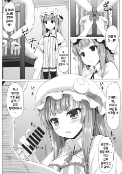 (C86) [Cocoa Cigarette (Tokugawa Randine)] Majo no Koukishin | 마녀의 호기심 (Touhou Project) [Korean] page 7
