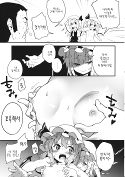 (Shuuki Reitaisai) [Dot Eito (Sawayaka Samehada)] Kyuukyoku Hansoku 2 (Touhou Project) [Korean] [팀 아동복지부] page 7