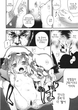 (Shuuki Reitaisai) [Dot Eito (Sawayaka Samehada)] Kyuukyoku Hansoku 2 (Touhou Project) [Korean] [팀 아동복지부] page 8