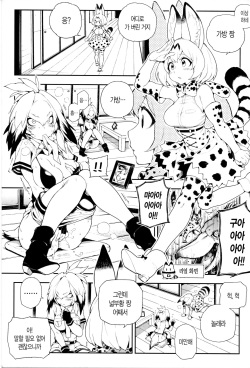 (FF30) [Bear Hand (Fishine, Ireading)] BEAST FRIENDS (Kemono Friends) [Korean] page 3