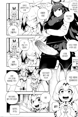 (FF30) [Bear Hand (Fishine, Ireading)] BEAST FRIENDS (Kemono Friends) [Korean] page 4