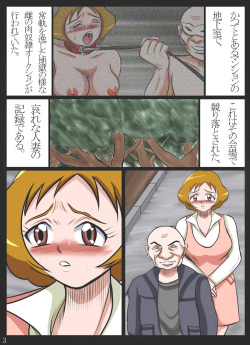 [Minagi Eki Higashi Guchi (Nishiguchi Minagi)] Kougyaku Maso Jukujo Kanraku Funsha Ojoku Higyaku Jukujo Momozono Ayumi (Fresh PreCure!) page 3