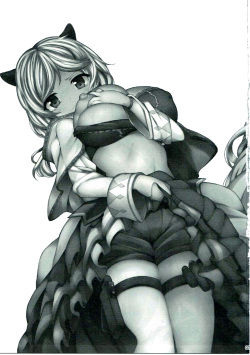 (C90) [Danikuya-san (Shiroie Mika)] Dorei Shuzoku no Shoujo wa Haramu shika Nai. | 노예종족의 소녀는 임신할 수밖에 없다. (Granblue Fantasy) [Korean] [팀☆데레마스] page 2