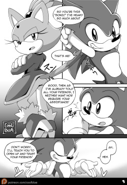 [Coolblue] Sonic &amp; Blaze (Sonic The Hedgehog) page 1