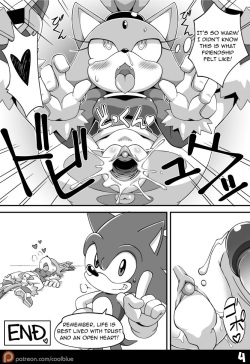 [Coolblue] Sonic &amp; Blaze (Sonic The Hedgehog) page 4