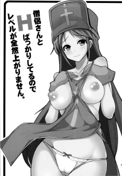 (C83) [Ippongui] Souryo-san to H Bakkari Shiteru node Level ga Zenzen Agarimasen. (Dragon Quest III) [English] {Hennojin} page 2