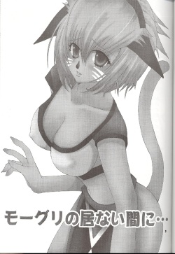 [LOVE JOKER (YUMI)] Moogle no Inai Aida ni... (Final Fantasy XI) page 2