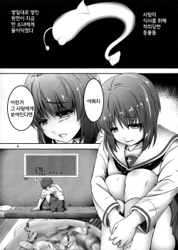 (C91) [Pandora Box (Hakomaru.)] Ankou no Noroi ! Miho-san ni Haechatta! Ganbare Erika-san!! (Girls und Panzer) [Korean] [팀 페로페로] page 3