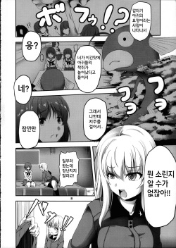 (C91) [Pandora Box (Hakomaru.)] Ankou no Noroi ! Miho-san ni Haechatta! Ganbare Erika-san!! (Girls und Panzer) [Korean] [팀 페로페로] page 8