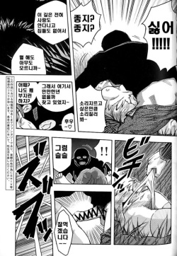 [Noda Gaku] Goukan Douri (Rape Street) | 강간길 [Korean] page 3