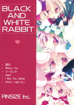 (C90) [PINSIZE Inc. (MITAONSYA)] BLACK AND WHITE RABBIT Soushuuhen page 2