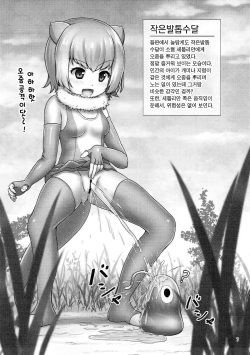 (C92) [Besshun-tei (Arisu Kazumi)] Friends no Oshikko Kansatsuki | 프렌즈의 오줌 관찰기 (Kemono Friends) [Korean] page 5