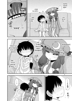 [Fugudoku (Katou Fuguo)] Surudake Jyuu Shi. | 그저할뿐 14 (Touhou Project) [Korean] [Team Edge] [Digital] page 5