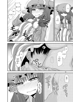 [Fugudoku (Katou Fuguo)] Surudake Jyuu Shi. | 그저할뿐 14 (Touhou Project) [Korean] [Team Edge] [Digital] page 9