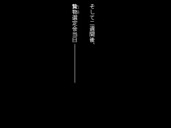 [Seikouchou] Nie butsu to natta shōjo page 7