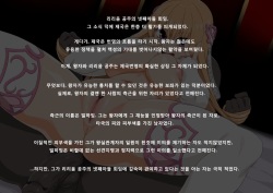 [Butakoma 300g] Lilium Hime 3 [Korean] page 2