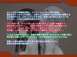[Shortcut Koubou] Chaotic Ring Vol. 07 page 2