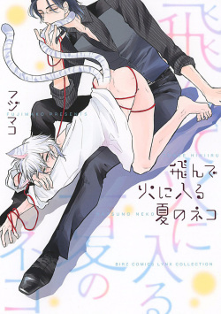 [Fujimako] Tonde Hi Ni Iru Natsu No Neko Ch.1 [Russian] [FireFox] page 3