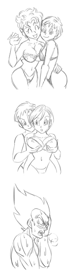 [Funsexydragonball] A Brief Affair! (Dragon Ball Super) page 3
