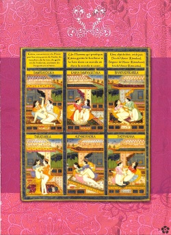 Kama Sutra en bandes dessinées - Kama Sutra with Comics [french] page 5