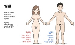 [Yoiko Books] Watashitachi no Karada ~Kodomo ga Dekirushikumi~ | 남자와 여자의 몸구조 ~아기가 생기는 구조~ [Korean] page 3