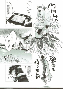 (C84) [Fujiya Honten (Thomas)] Mikaze Seigetsu Hizakurige (Monster Hunter 3G) page 4