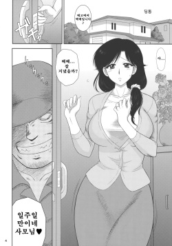 (COMIC1☆10) [BLACK DOG (Kuroinu Juu)] Ano hi no Tegome-san 2 [Korean] [KYR] page 3