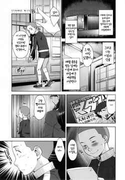 (C91) [Yorando (Sugi G)] STRANGE WIFE [Korean] page 4