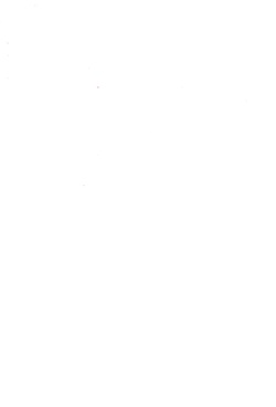 (C80) [Kirimochi Texture (Yoyoyoyou)] Yacchauzo!! (Megaman) page 2