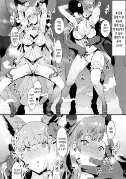 (C92) [PIANIISHIMO (Pija)] Mousouten Granblue Fantasy 4 (Granblue Fantasy) [Korean] [미쿠다요] page 2