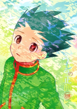 (C86) [Irori (Yui)] Ushiro no Shoumen (Hunter x Hunter) page 1